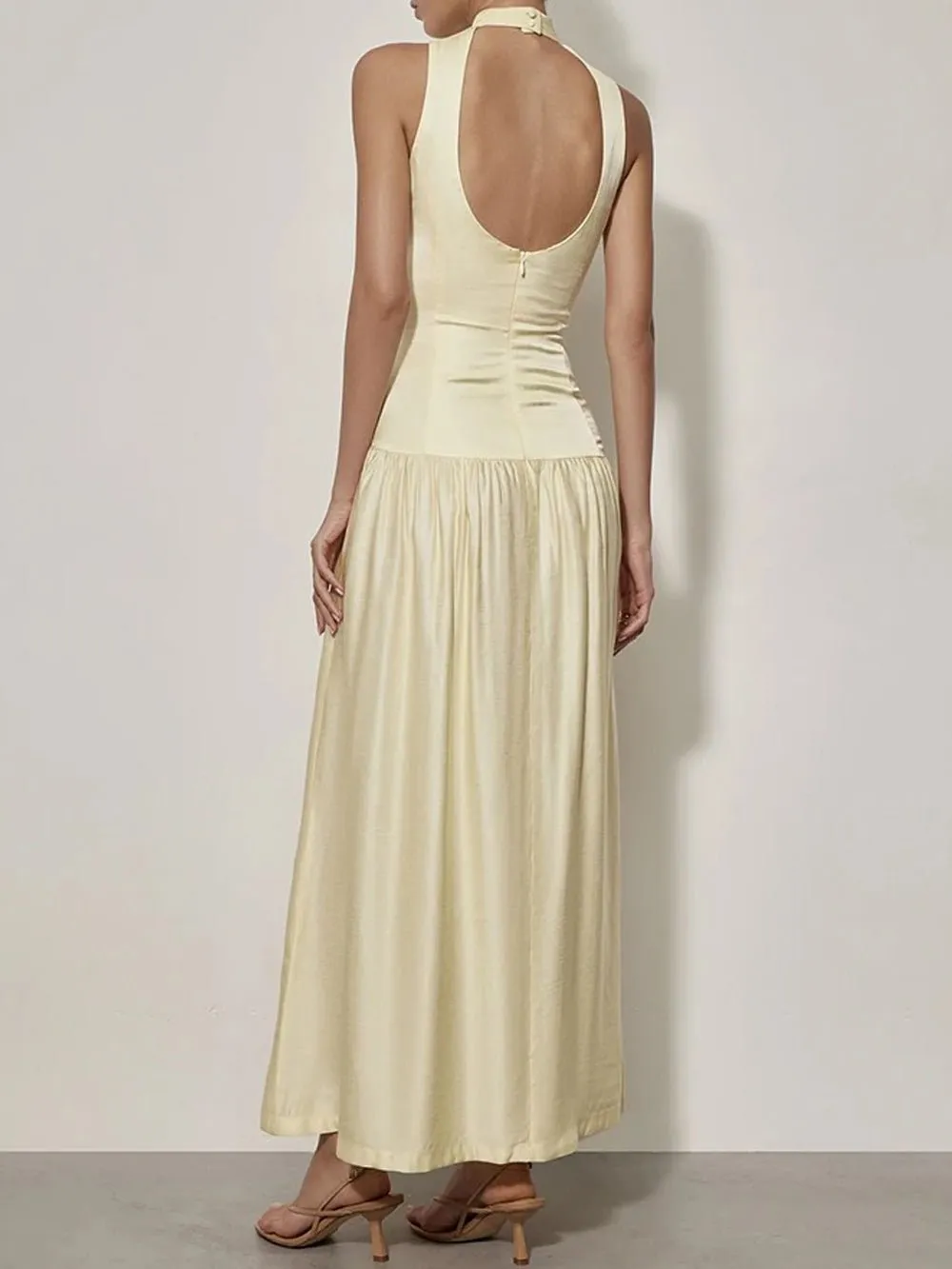 Alicia Backless Sleeveless Maxi Dress