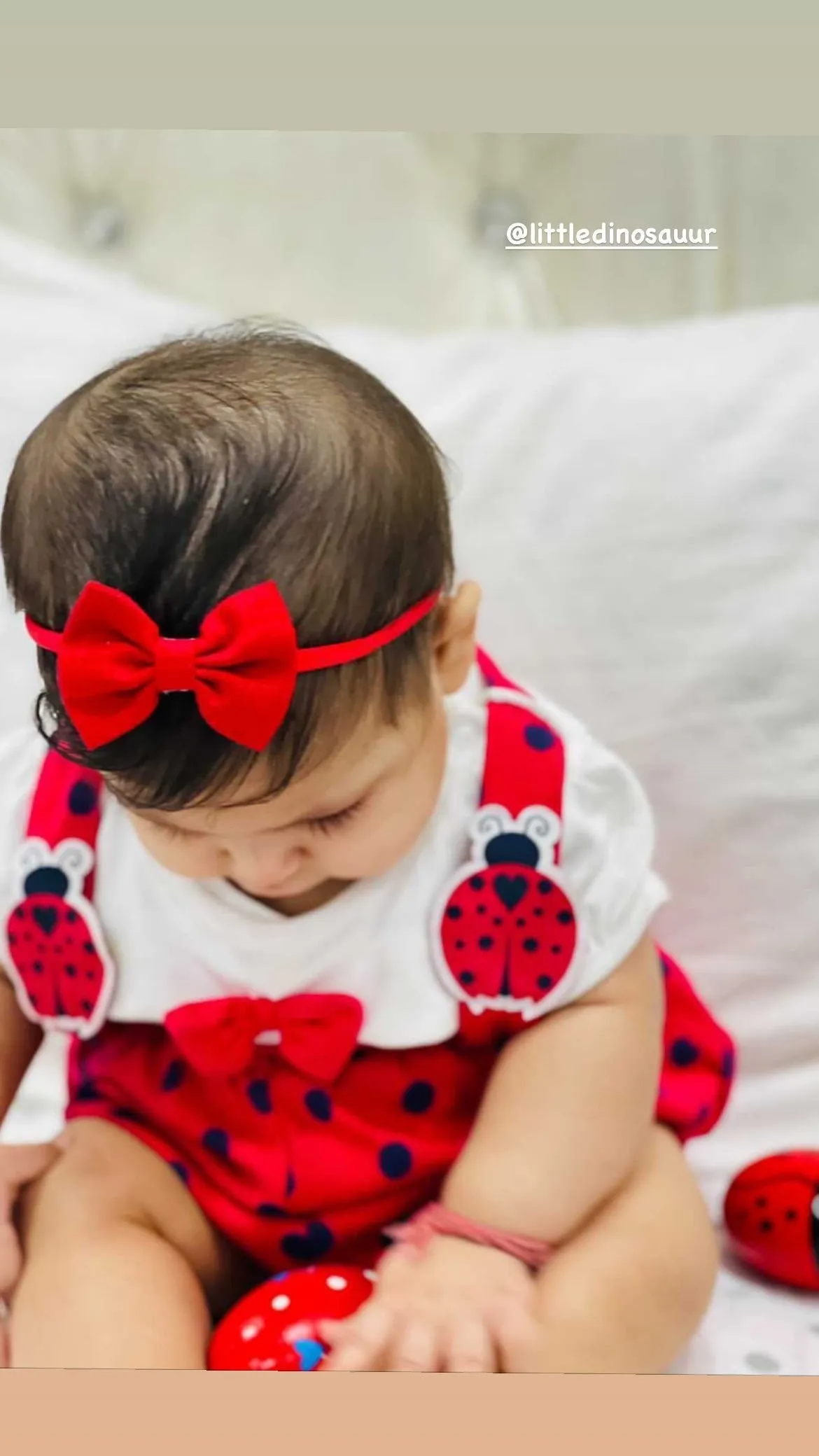 Petite Headband Set - Floral & Red