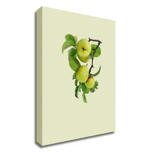 "Apple Tree I" Wrapped Canvas Print Kitchen Wall Art